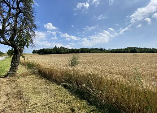 Fotka 14 z 18